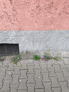 Mein Bild der Stadt