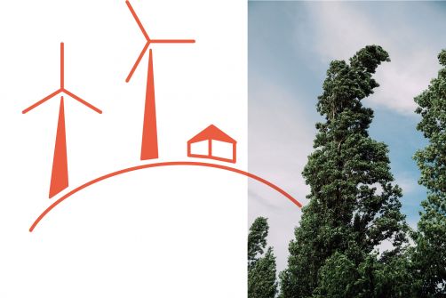 Illustration vom Energieberg in orange und ein Bild von Pappeln im Wind