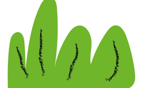 Illustration Gras