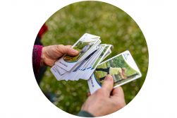 Karten mit Sportübungen