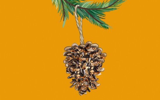 Zeichnung eines Futterzapfen für Vögel