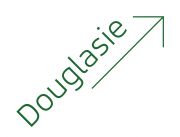 Douglasie