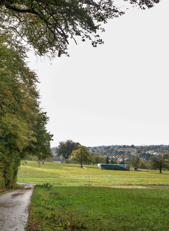 Bild des Waldrands Stupferich