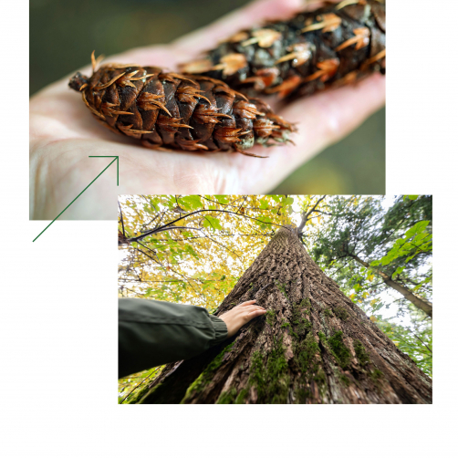 Am Nordrand des Schwarzwalds – Ein Spaziergang