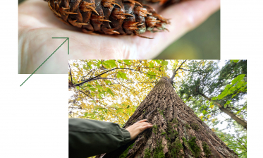 Am Nordrand des Schwarzwalds – Ein Spaziergang