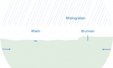 Der Wald ist wichtig für das Trinkwasser