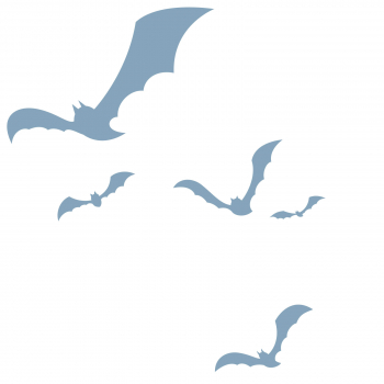 Neue Quartiere für Fledermäuse im Oberwald