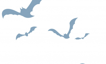 Neue Quartiere für Fledermäuse im Oberwald