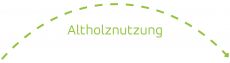 Pfeil der Altholznutzung
