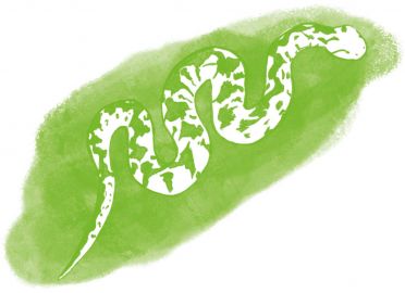 Illustration einer Schlange