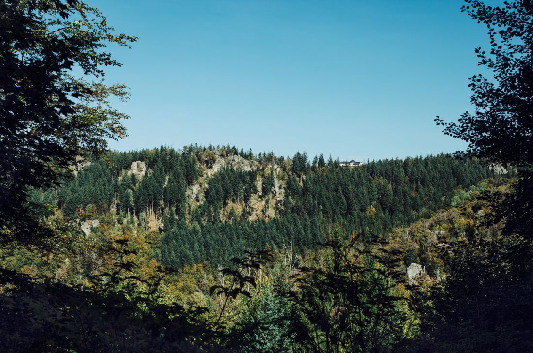 Panorama über die Bühlerhöhe