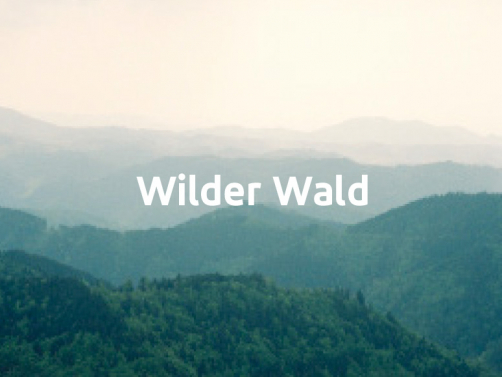 Wilder Wald