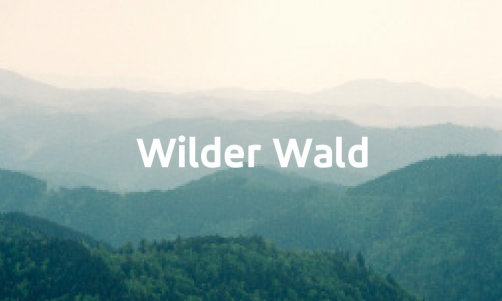Wilder Wald