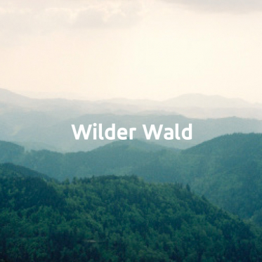 Wilder Wald