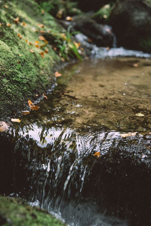 fließendes Wasser aus dem Schwarzwald