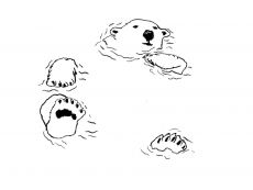 Grafik Eisbär im Wasser