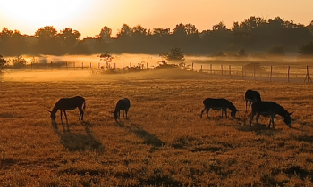 Frank Bachert – Mein Bild der Stadt