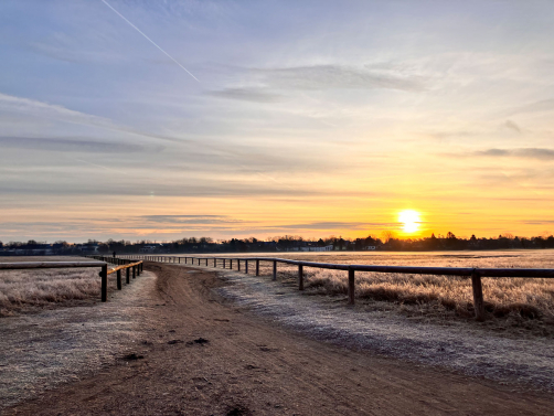 Die Nordstadt – viel Raum für Entdeckungen