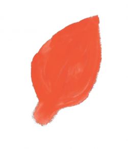 Illustration eines Blütenblatts