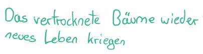 Text zu Bild Tannen Anna
