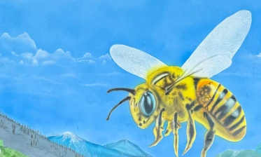 Umwelterklärung feiert runden Geburtstag 