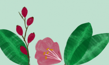 Schlaf schön - Traumfänger basteln 