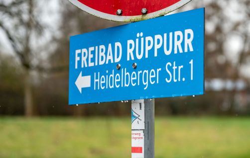 ↑ Das Freibad Rüppurr liegt idyllisch auf einer Halbinsel zwischen Reiherwiesenbach und Alb. Hier badet man mit Tradition: Die Rutsche stammt aus den 1930er-Jahren!