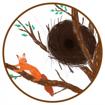 Geschickt und gemütlich – Tierbauten