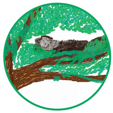 Illustration eines Schimpansen in seinem gebauten Bett