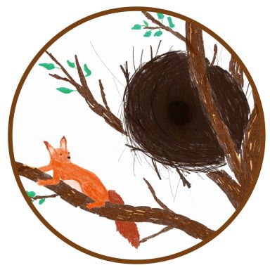 Illustration eines Eichhörnchens vor seinem Kobel
