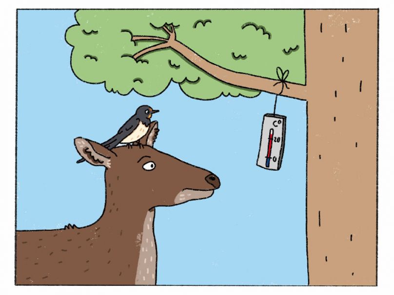 Stadtwerke-Klima-Comic