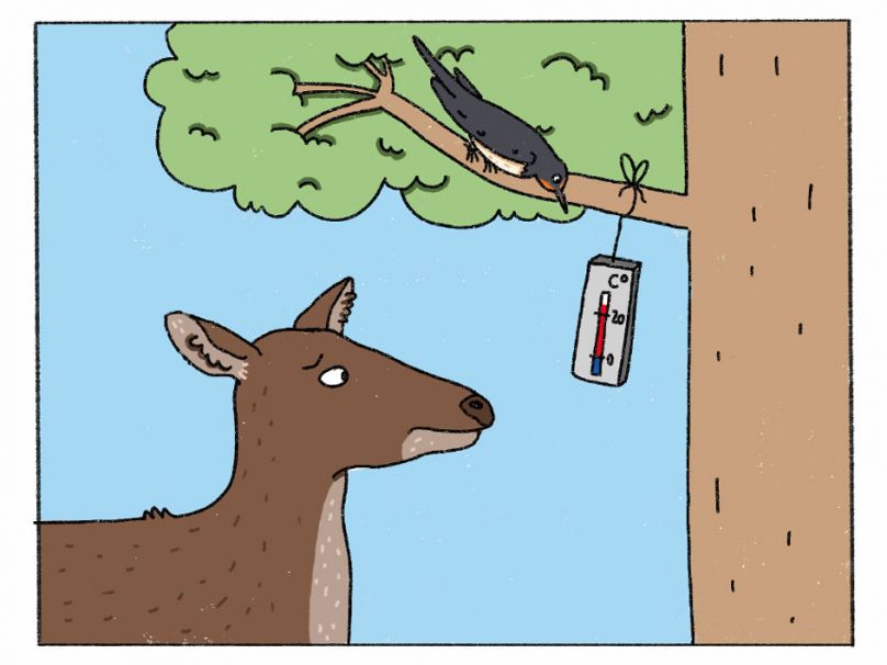 Stadtwerke-Klima-Comic