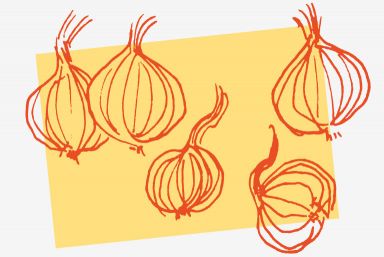 Zwiebel Illustration