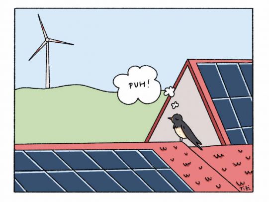 Stadtwerke-Klima-Comic Vogel Bild 4