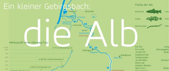 Vorschaubild für das Alb Schaubild