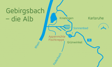 Ein kleiner Gebirgsbach: die Alb