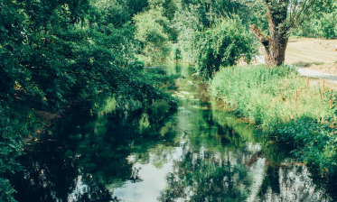 Stadt–Land–Fluss: Die Alb