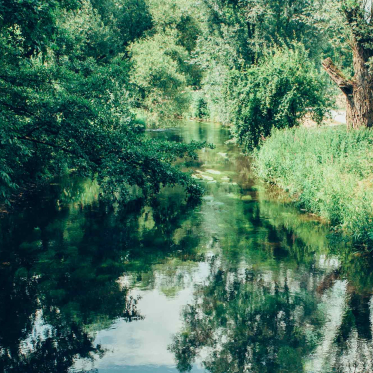 Stadt–Land–Fluss: Die Alb