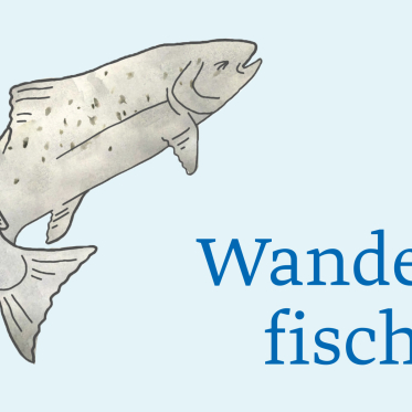 Wasser, Watt und Wanderfische