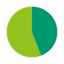 Kreisdiagramm