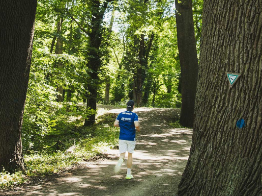 »Der Oberwald, gleich um die Ecke«