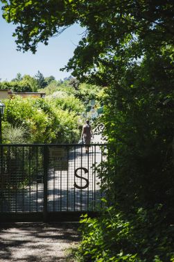 Im Kleingartenverein südlich des Oberwalds kann man sich nach Sport und Tierbegegnungen in der »Zwitscherstube« stärken.