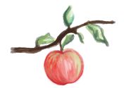 Apfel Illustration