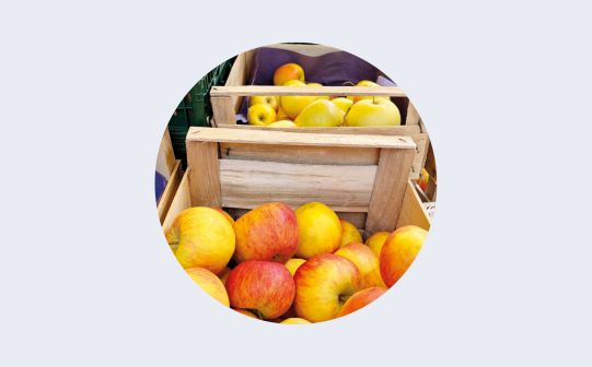 Äpfel in Kisten am Marktstand von Franziska Müller in Karlsruhe