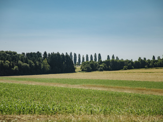 Stadtteil mit Dorfleben