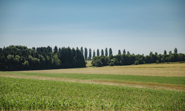 Stadtteil mit Dorfleben