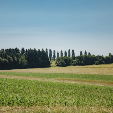 Stadtteil mit Dorfleben