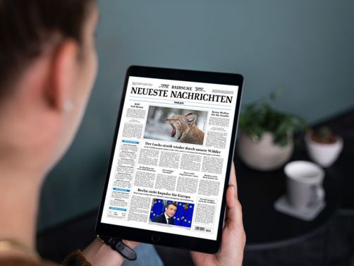 Hotel Der Blaue Reiter - KomeZ Firetable