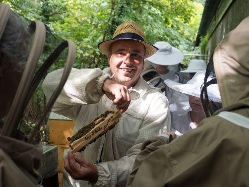 Imker Stadtwerke Karlsruhe