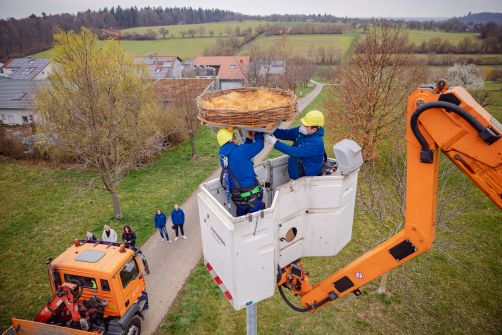 In luftiger Höhe: Fachkräfte der Stadtwerke bringen die Nisthilfe auf dem acht Meter hohen Turm an.